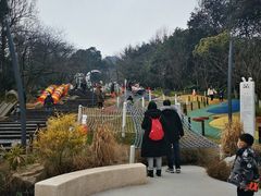 -杭州少年儿童公园