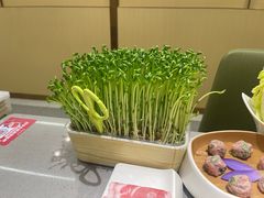 -海底捞火锅(天通苑华联店)