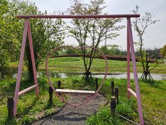 -梁鸿国家湿地公园