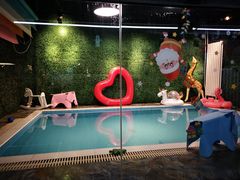-Goku PET SHOP宠物视觉生活馆(双井店)