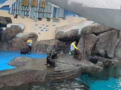 -海合安成都极地海洋公园