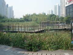 人工湿地-苏州河梦清园环保主题公园