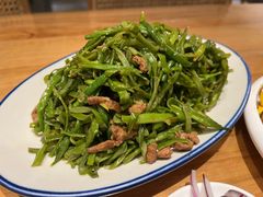 鲜豆角炒肉丝-姥姥家春饼店(惠新东街店)