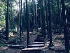 -凤栖山