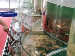 -仙螺岛海鲜自助餐厅(总店)