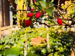 -阳光山水江湖菜馆(西山龙门店)