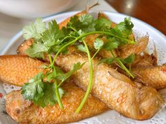-潮盛海鲜(韶关总店)