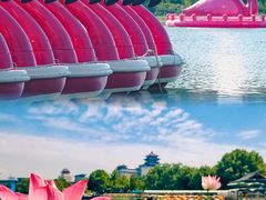-莲花池公园