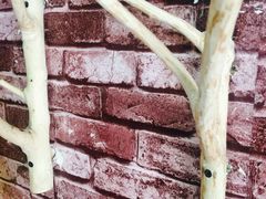 -九华山友谊土菜馆 小资餐厅