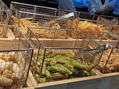 -中央电视塔旋转餐厅