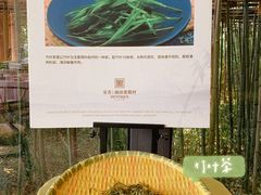 竹叶茶-安吉涵田度假村·水榭居中餐厅