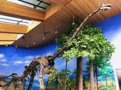 -延庆地质公园博物馆