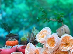 -Gigi Florist·Dk Coffee