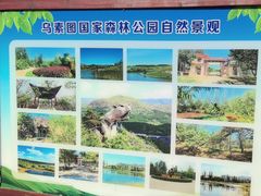 -乌素图国家森林公园