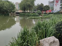 -丁家河公园