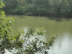 -翠湖国家城市湿地公园
