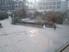 -东哥紫阳蒸盆子(旺座·现代城店)