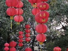 -云溪植物园