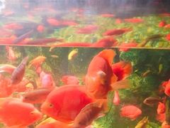 景点-福州罗源湾海洋世界旅游区