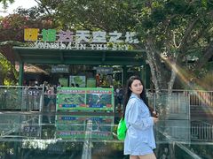 -呀诺达热带雨林