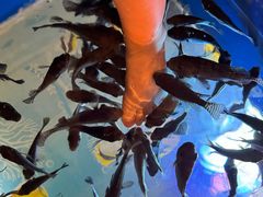 -汤连得温泉馆(宝山店)