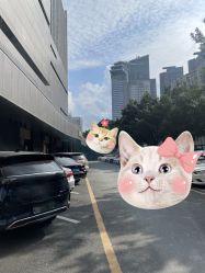 -深圳阳光医疗美容医院·旗舰店