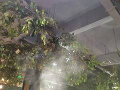 -满天星火锅坊