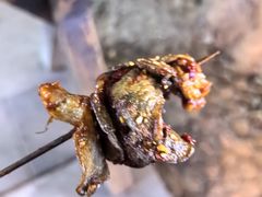 -辽B·小串(总店)