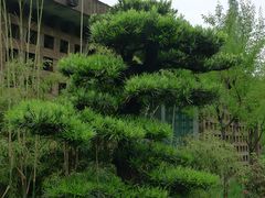 -成都杜甫草堂博物馆