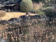 -东京国立博物馆