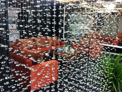 iphone_upload_pic-红星美凯龙(北京北四环店)
