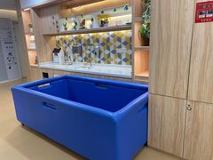 -亲亲袋鼠托育早教·思维专注力·棕熊英语(鼓楼恒力城店)