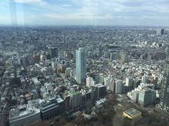 -东京都厅舍