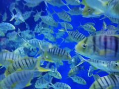 游乐设施-成都浩海立方海洋公园