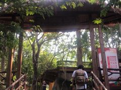 -海南槟榔谷黎苗文化旅游区
