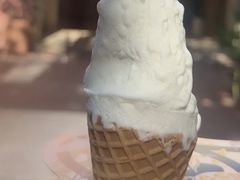 -野人先生Gelato(上海长宁龙之梦店)