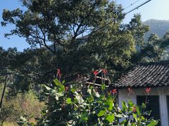 -宁波五龙潭景区