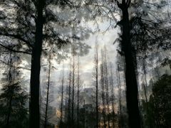 -艾溪湖湿地公园