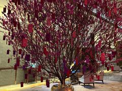 -OZONE 顶楼酒吧(香港丽思卡尔顿酒店)