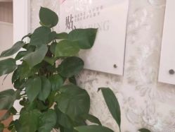 -Cocodemer女性健康·产后恢复(天一广场店)