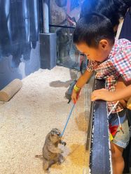 -酷嗒动物文化乐园(cutezoo西溪乐天城店)