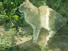 -青藏高原野生动物园