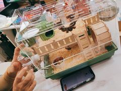 -FAELING PETS美天灵宠物(合生汇店)