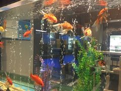-蓝鲸(国浩路店)