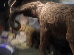 -抚顺煤矿博物馆