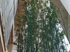 -上海柏悦酒店·世纪100牛排馆