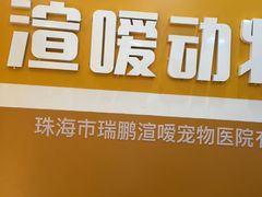-渲嗳动物医院(异宠·复杂内科转诊中心·玖洲道富华里分院)