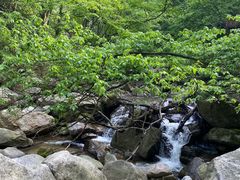 -燕子河大峡谷天坑仙境