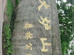 -火炉山森林公园