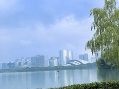 -天鹅湖体育公园